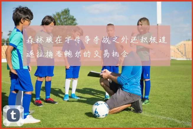 森林狼在字母争夺战之外还积极追逐拉梅洛鲍尔的交易机会