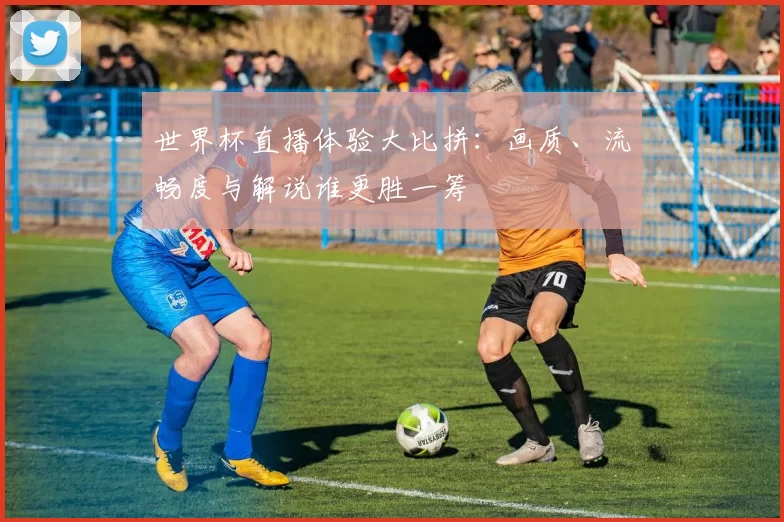 世界杯直播体验大比拼:画质、流畅度与解说谁更胜一筹