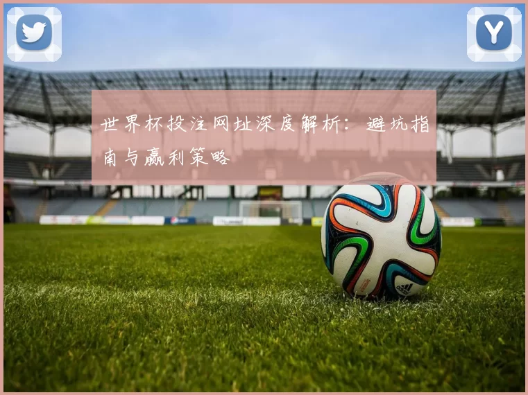 世界杯投注网址深度解析:避坑指南与赢利策略