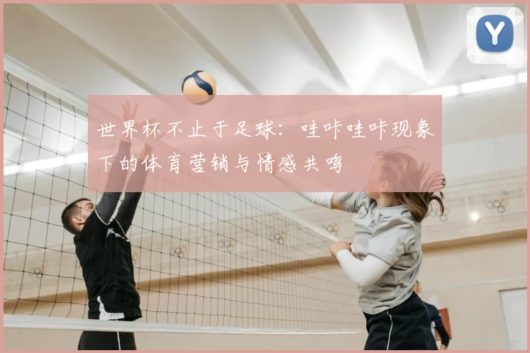 世界杯不止于足球：哇咔哇咔现象下的体育营销与情感共鸣