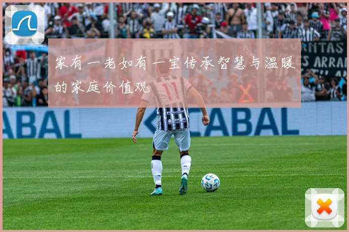 家有一老如有一宝传承智慧与温暖的家庭价值观