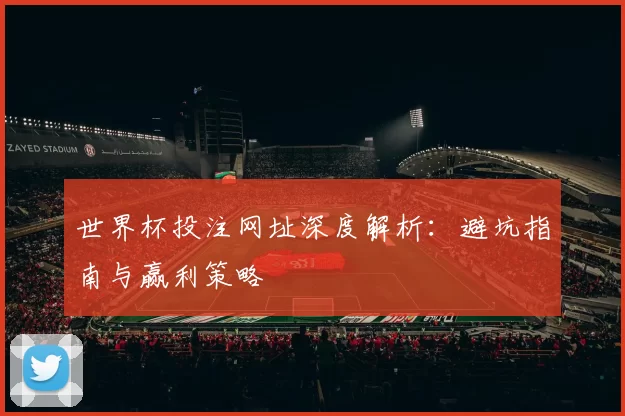 世界杯投注网址深度解析:避坑指南与赢利策略