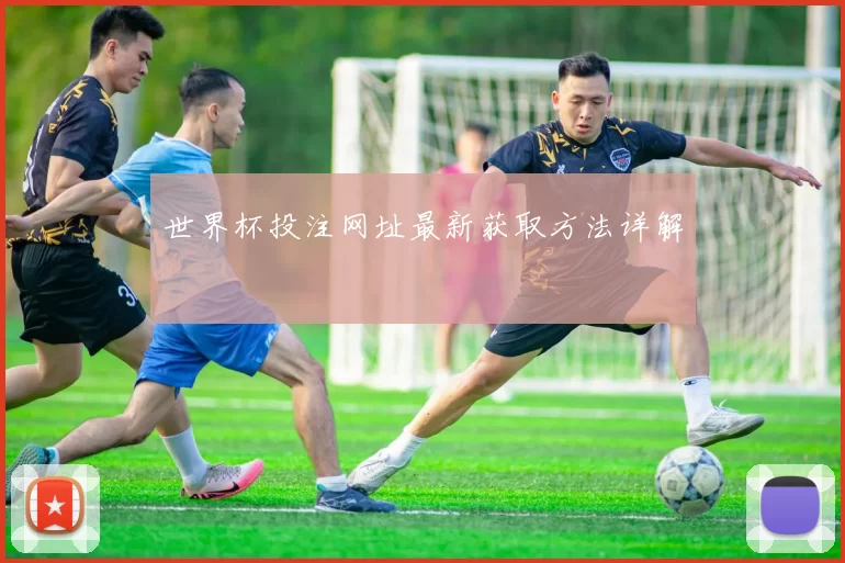 世界杯投注网址最新获取方法详解