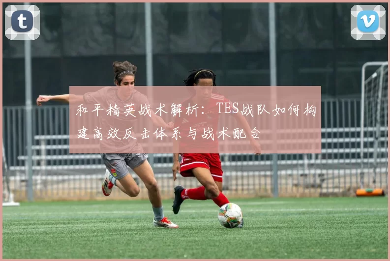 和平精英战术解析：TES战队如何构建高效反击体系与战术配合