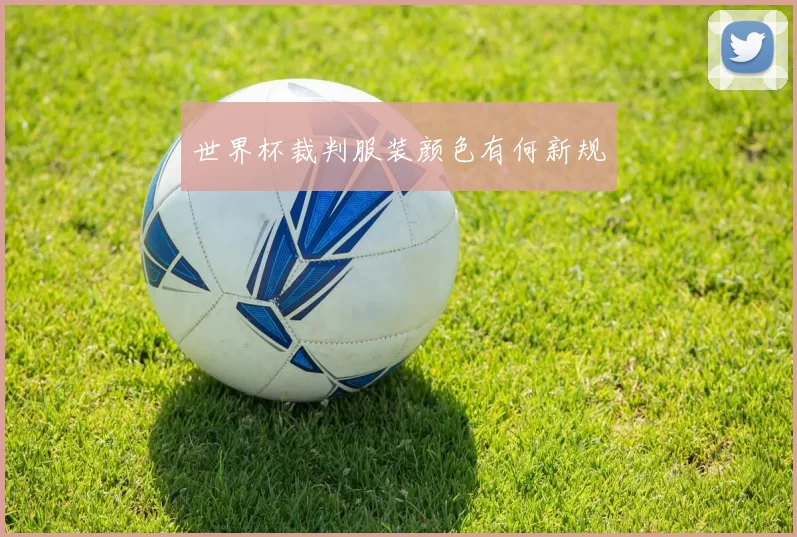 世界杯裁判服装颜色有何新规
