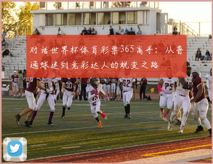 对话世界杯体育彩票365高手：从普通球迷到竞彩达人的蜕变之路