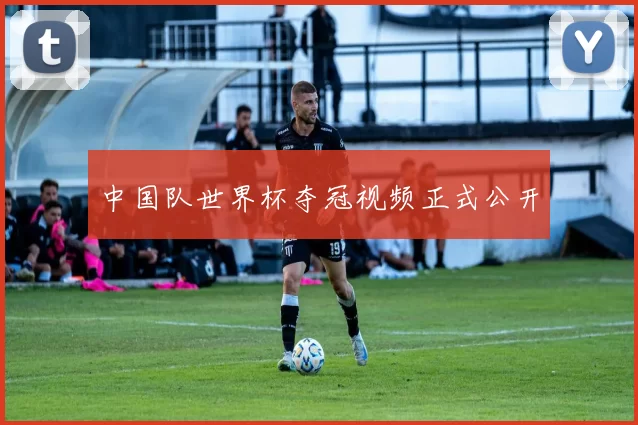 中国队世界杯夺冠视频正式公开