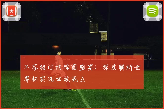 不容错过的绿茵盛宴：深度解析世界杯实况回放亮点