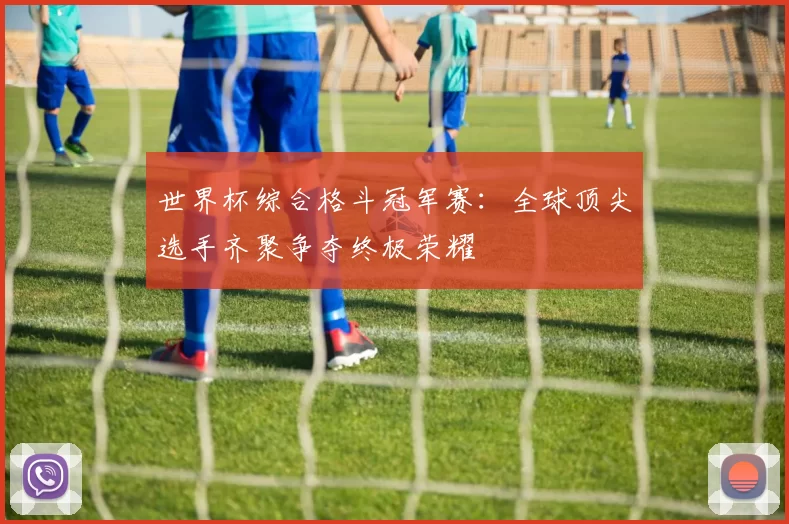 世界杯综合格斗冠军赛：全球顶尖选手齐聚争夺终极荣耀