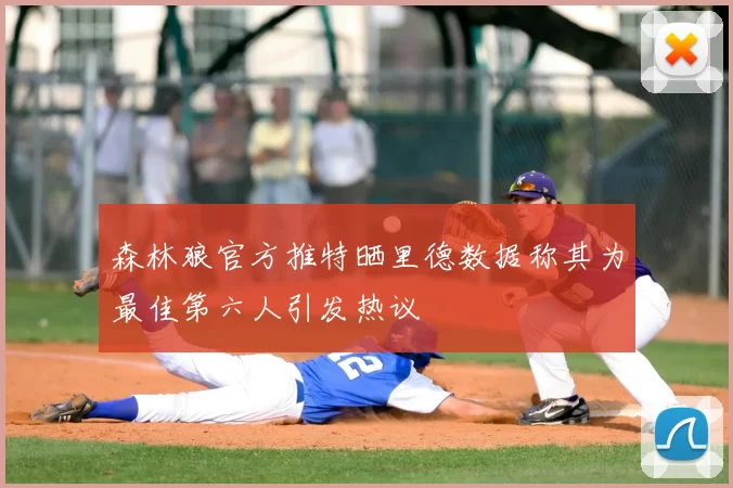 森林狼官方推特晒里德数据称其为最佳第六人引发热议