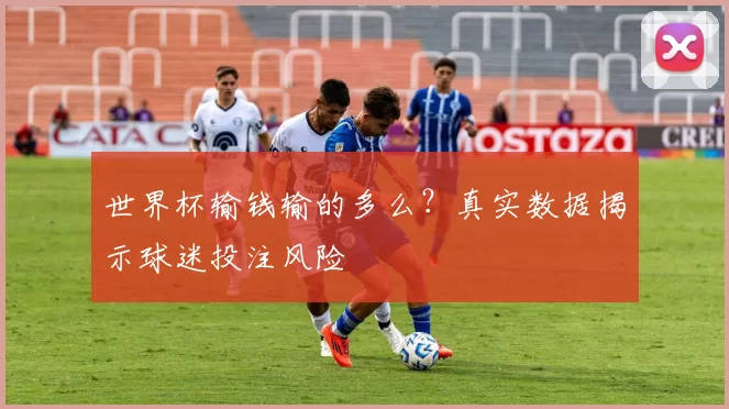 世界杯输钱输的多么？真实数据揭示球迷投注风险