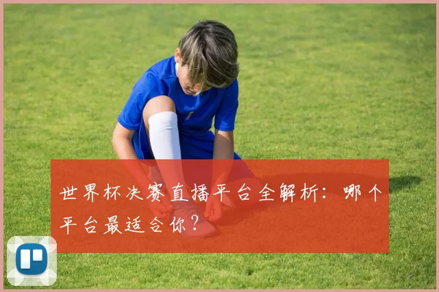 世界杯决赛直播平台全解析：哪个平台最适合你？