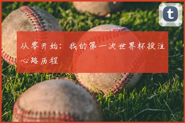 从零开始：我的第一次世界杯投注心路历程