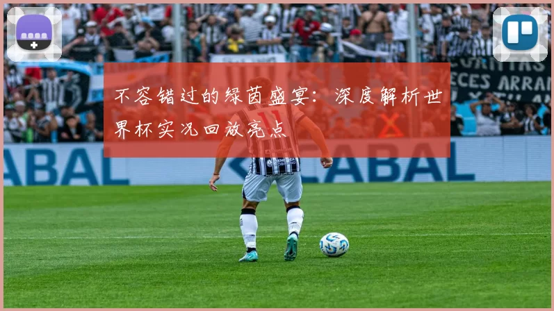不容错过的绿茵盛宴：深度解析世界杯实况回放亮点