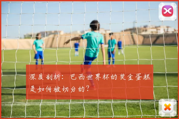 深度剖析：巴西世界杯的奖金蛋糕是如何被切分的？